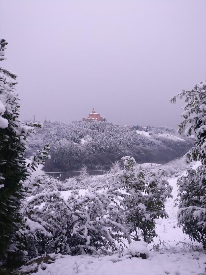 B&B Poggio San Luca Bologna Luaran gambar